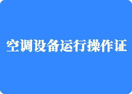 大鸡扒插入白丝班长的小制冷工证