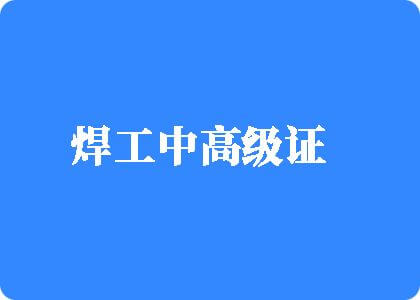 成人胖女人吃瓜在线视频1焊工中高级证