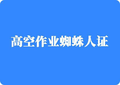 大鸡巴插小逼逼免费视频高空作业蜘蛛人证